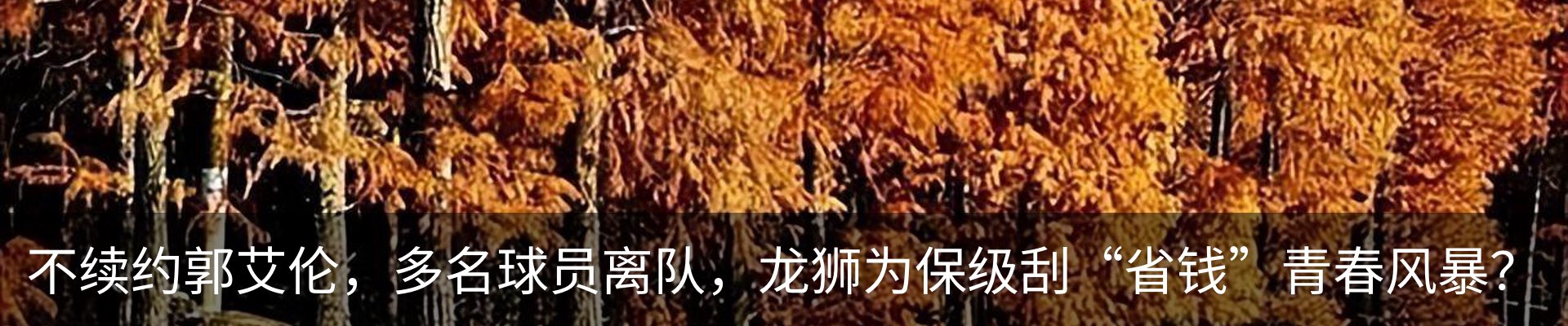 新闻动态