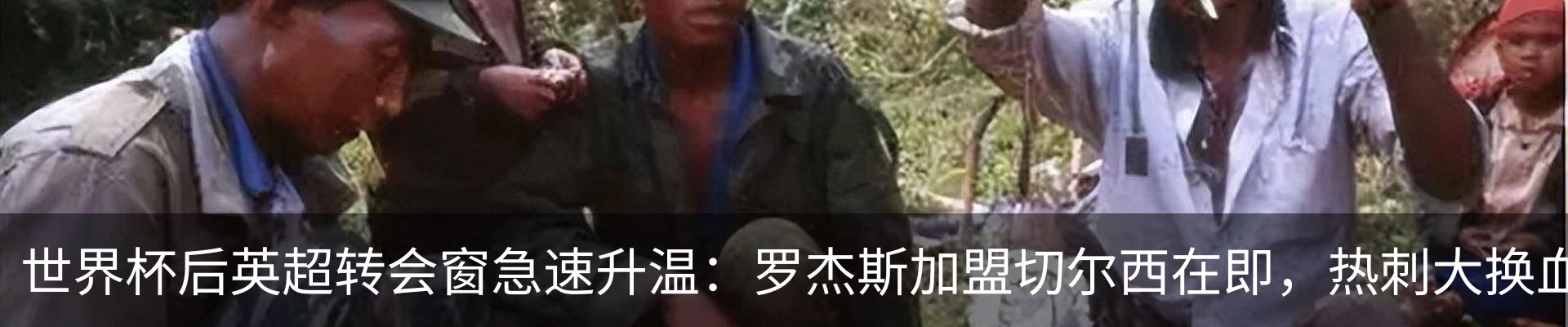 新闻动态