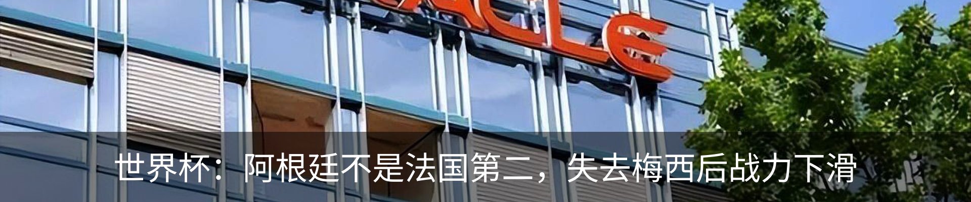 新闻动态