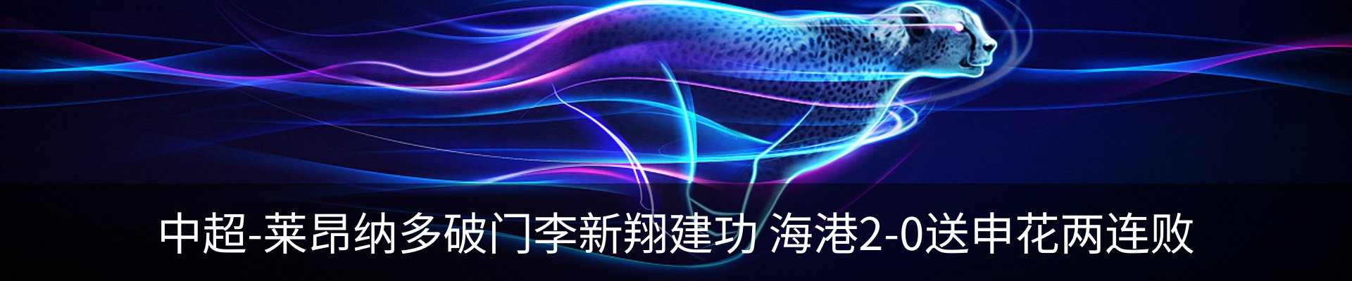 新闻动态