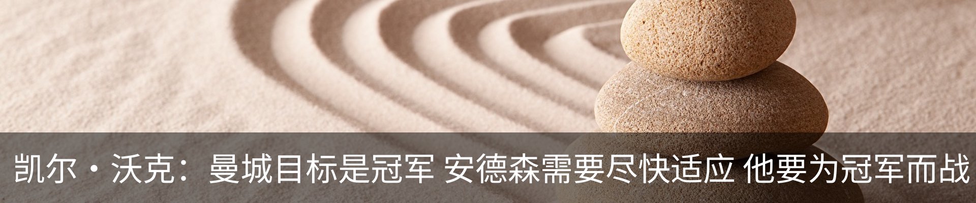 新闻动态