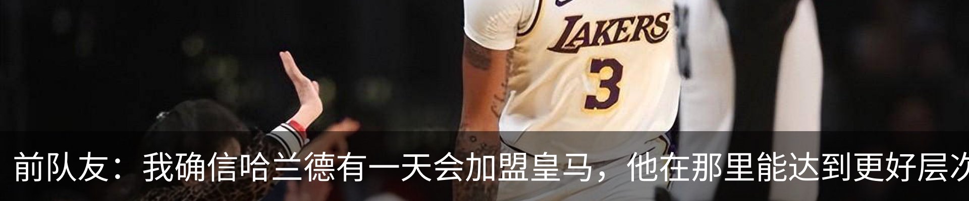 新闻动态