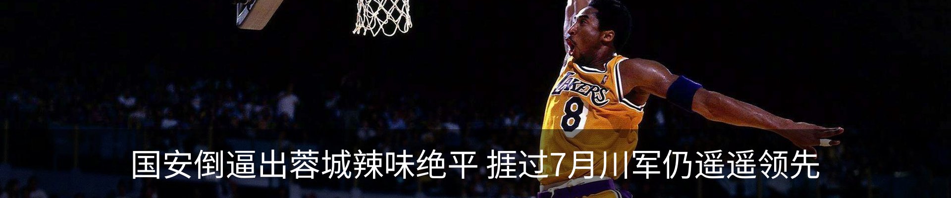 新闻动态