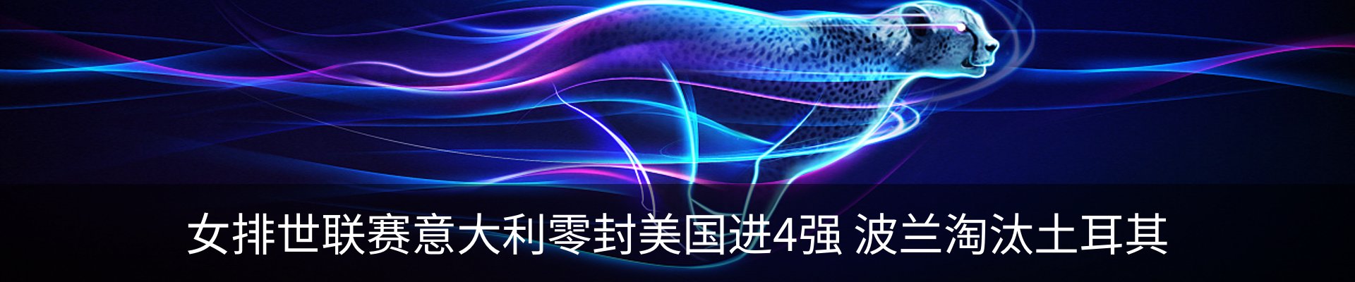 新闻动态