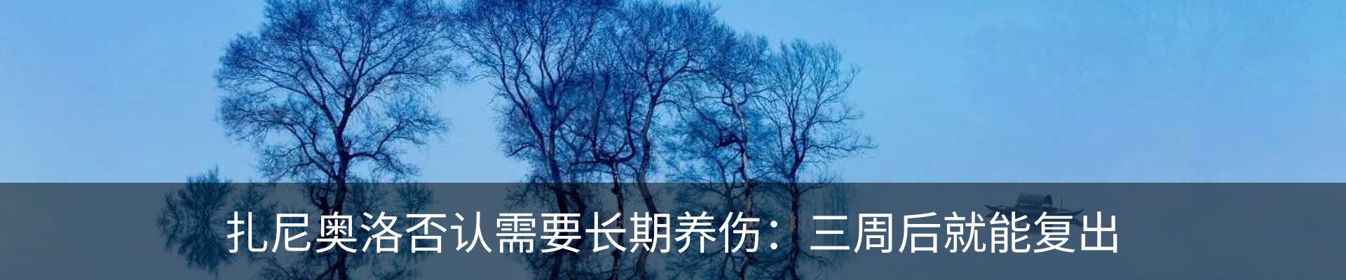 新闻动态