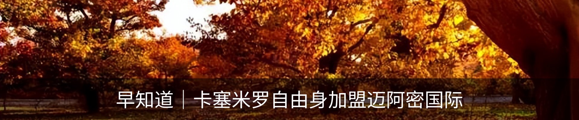 新闻动态