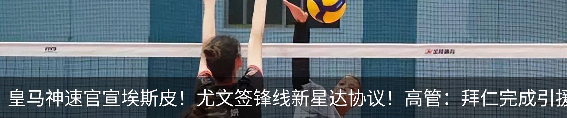 新闻动态