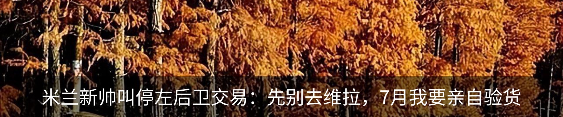 新闻动态