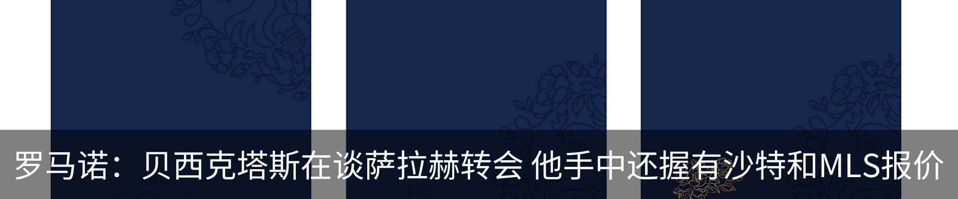 新闻动态