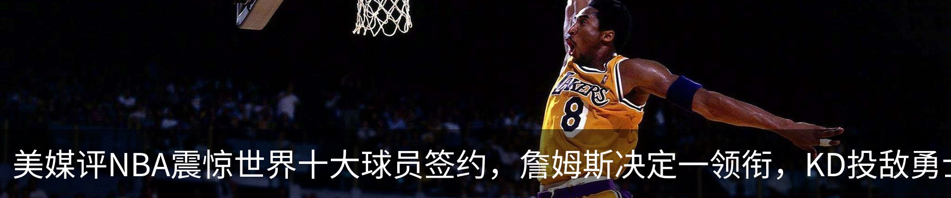 新闻动态
