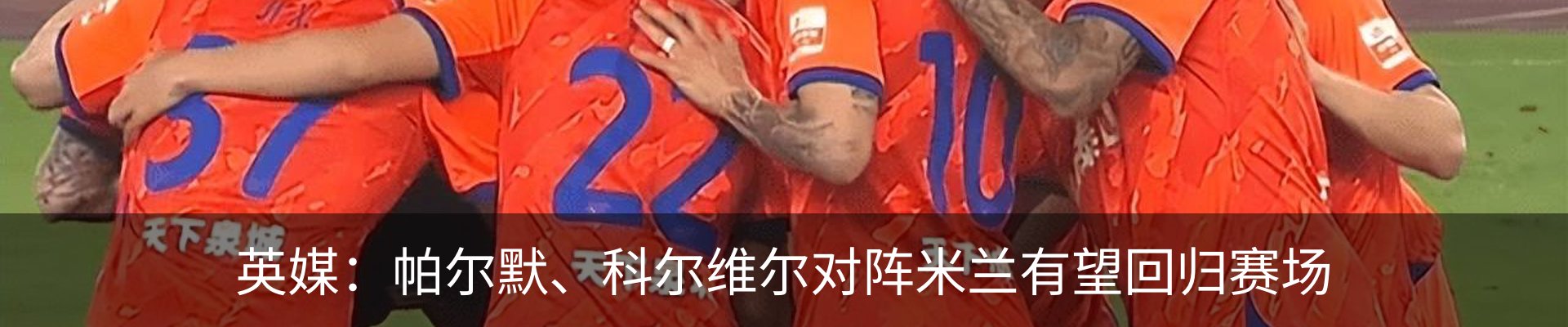 新闻动态