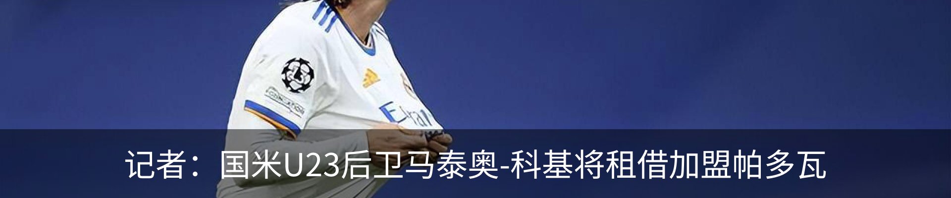 新闻动态