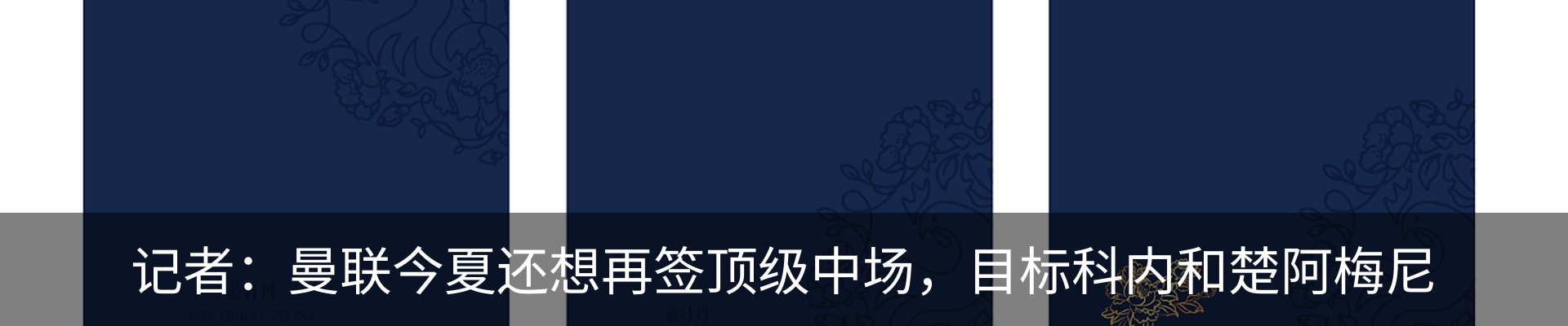 新闻动态