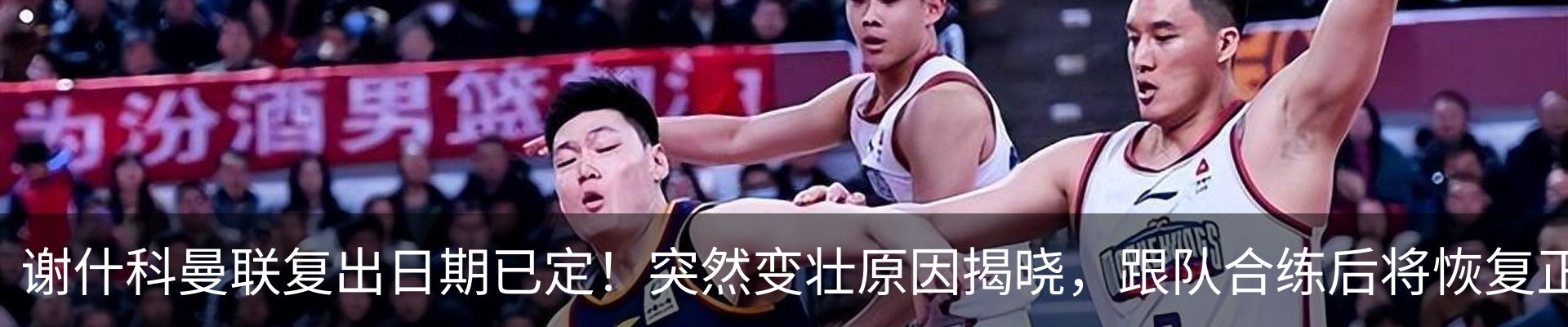 新闻动态