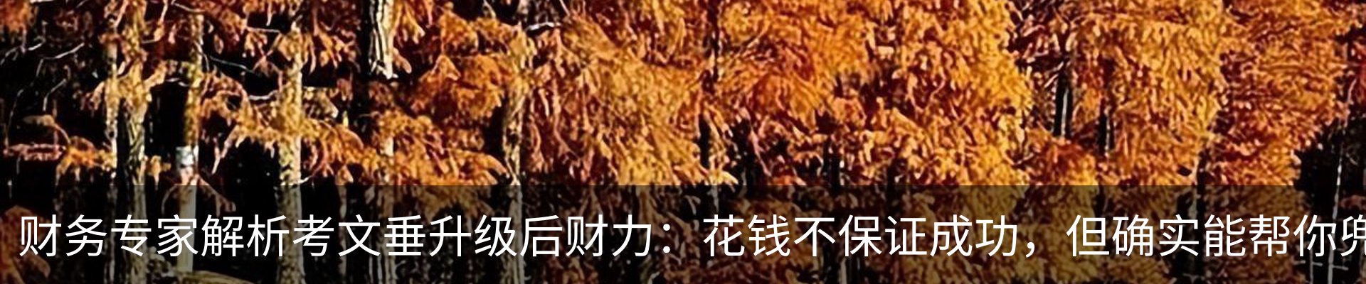 新闻动态