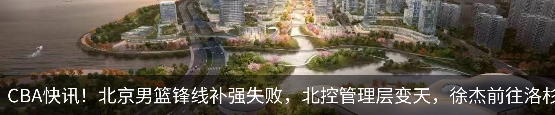 新闻动态