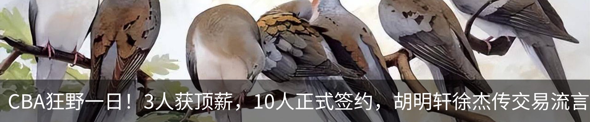 新闻动态