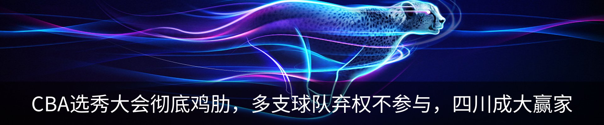 新闻动态