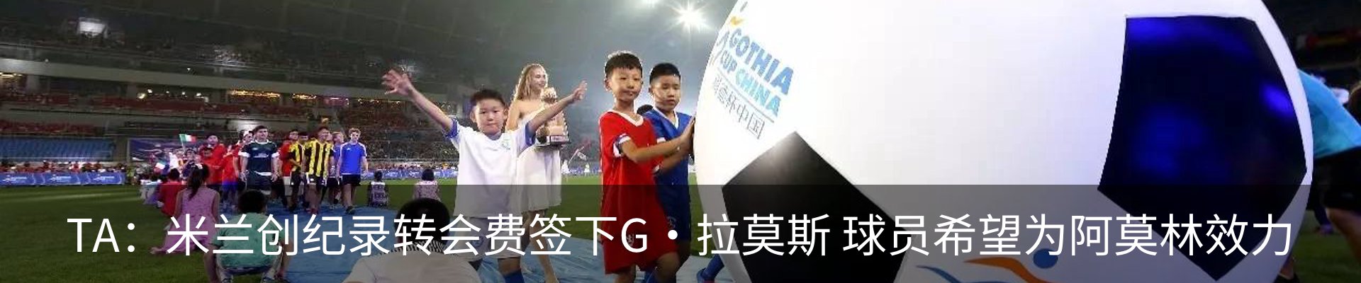 新闻动态